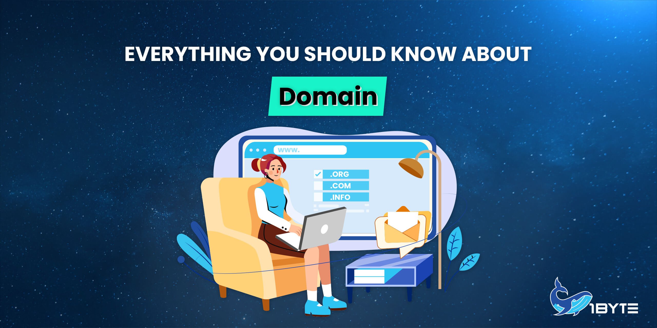 Everything you should know about Domain