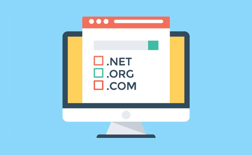 Everything you should know about Domain