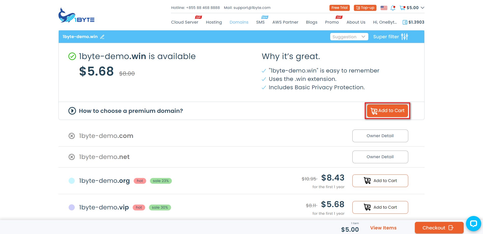 how to register domain name on 1byte