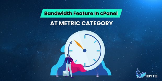 Bandwidth feature in cPanel at Metric Category