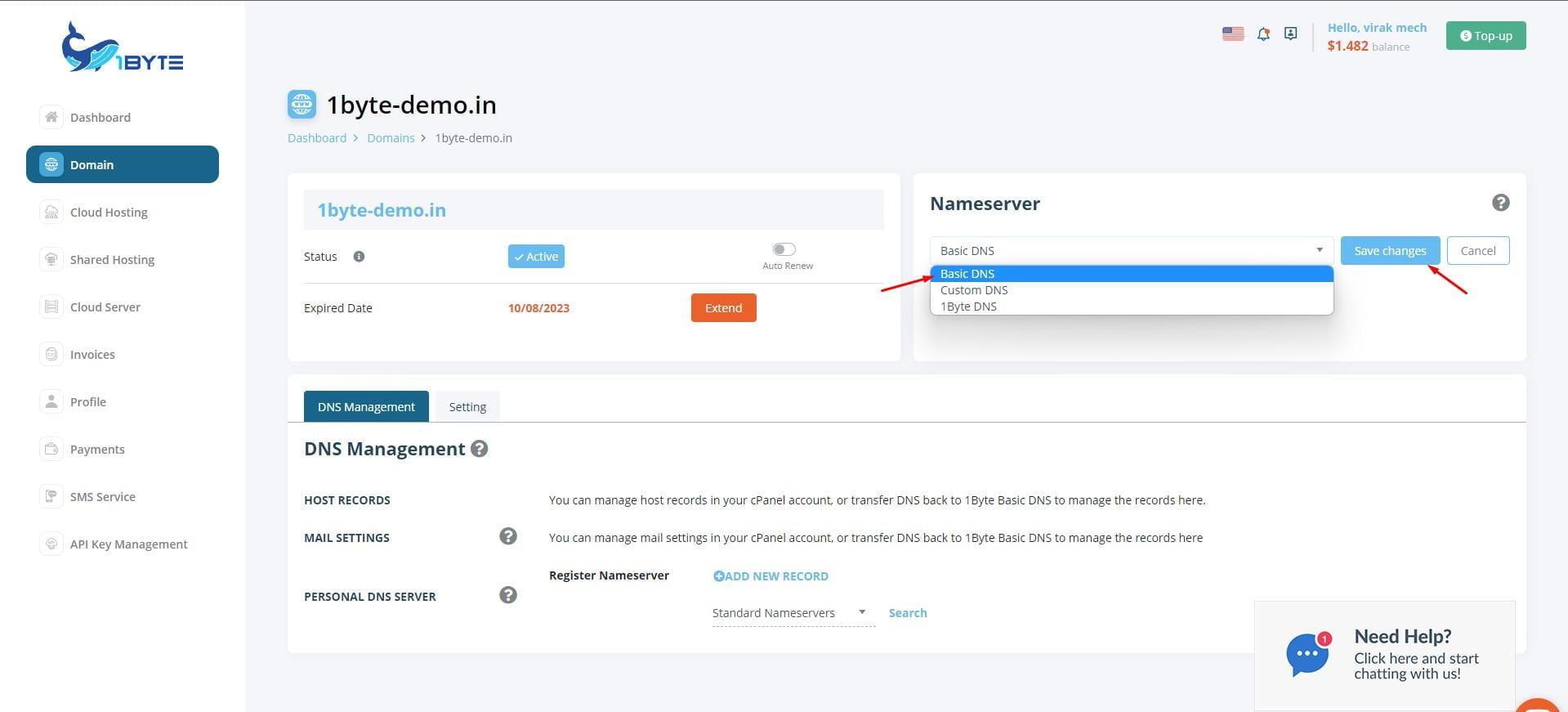 At Nameserver, choose Basic DNS