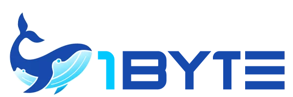 1Byte - top aws partners