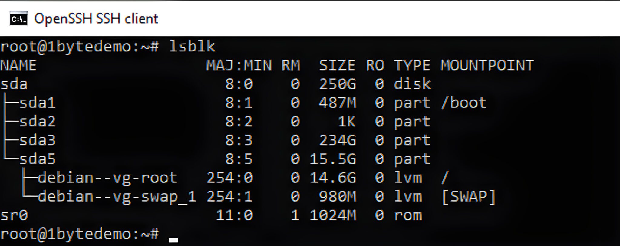 How To Mount (Upgrade) Storage On Debian 1Byte1Byte