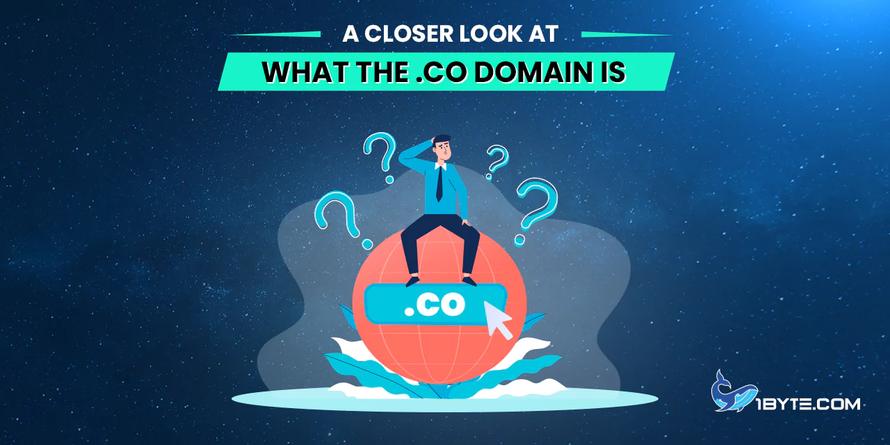 A Closer Look at What the .co Domain Is