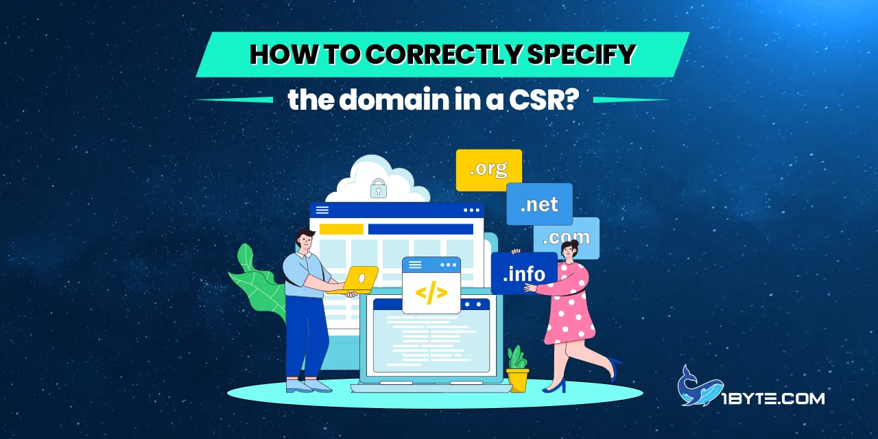 How to correctly specify the domain in a CSR?