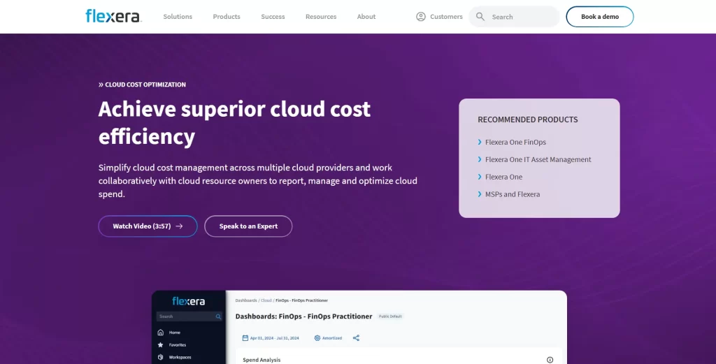 Flexera Cloud Cost Optimization