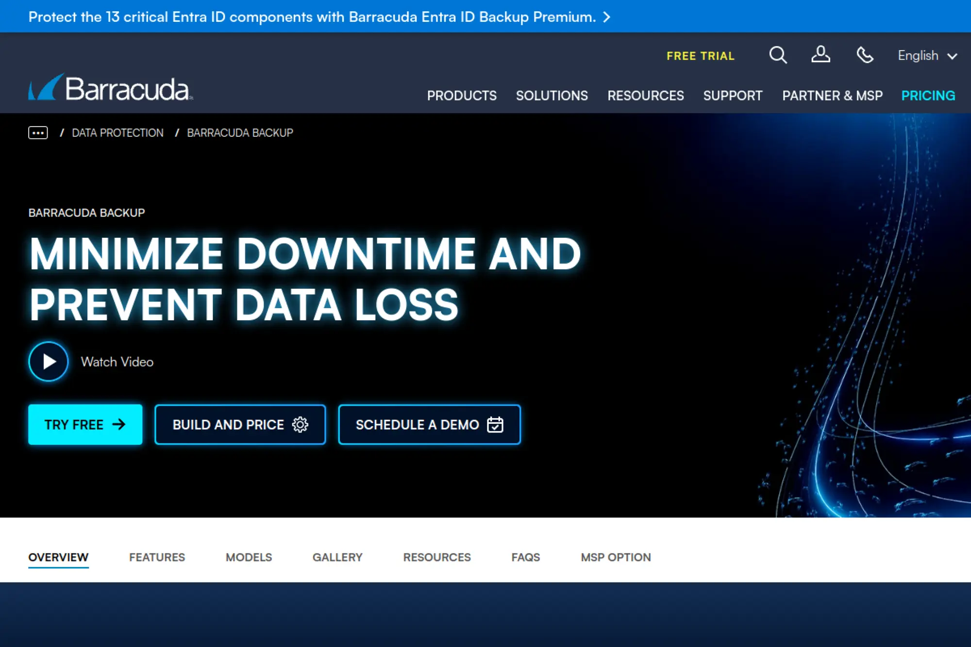 27. Barracuda Backup