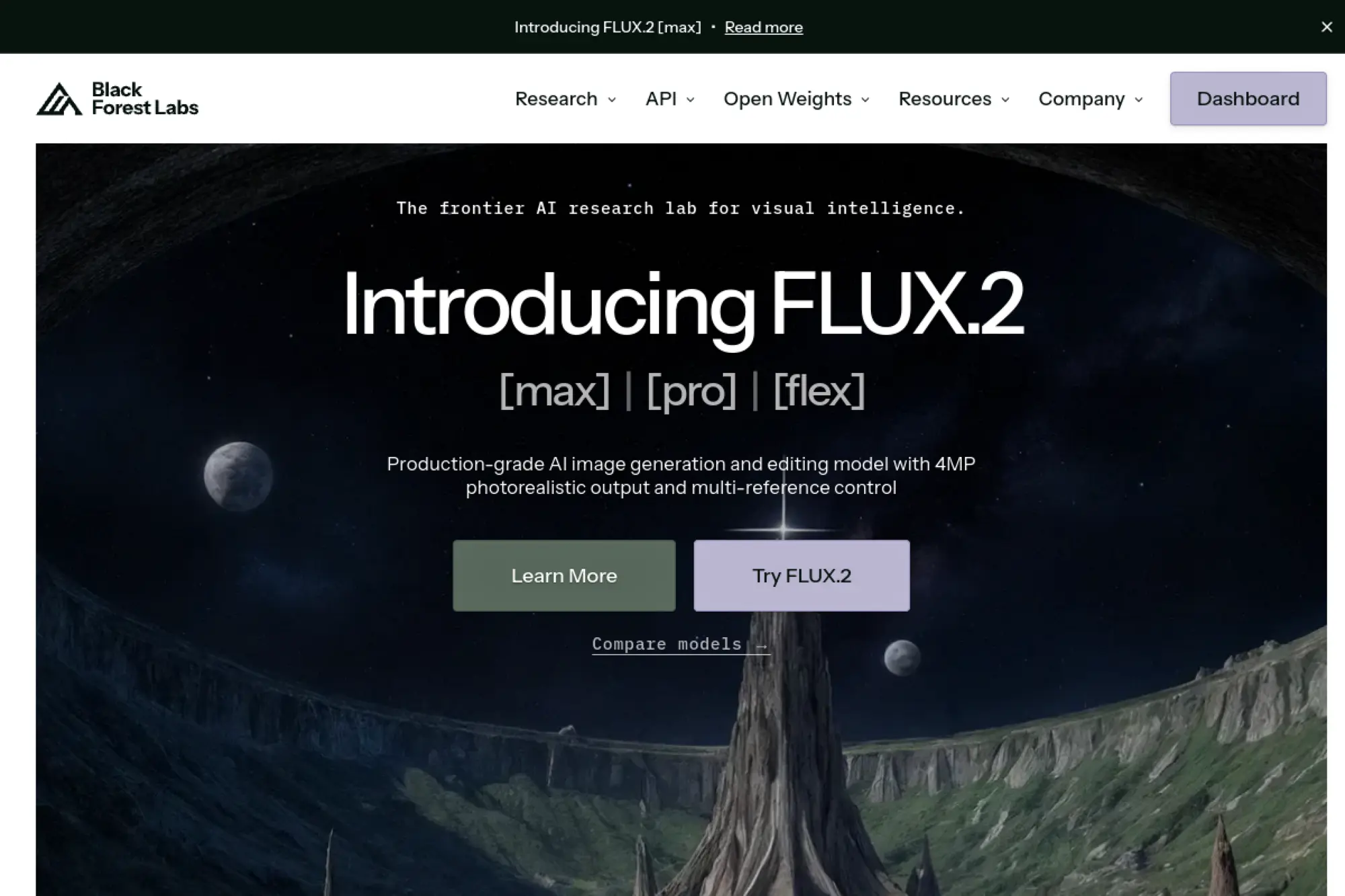 7. Black Forest Labs FLUX