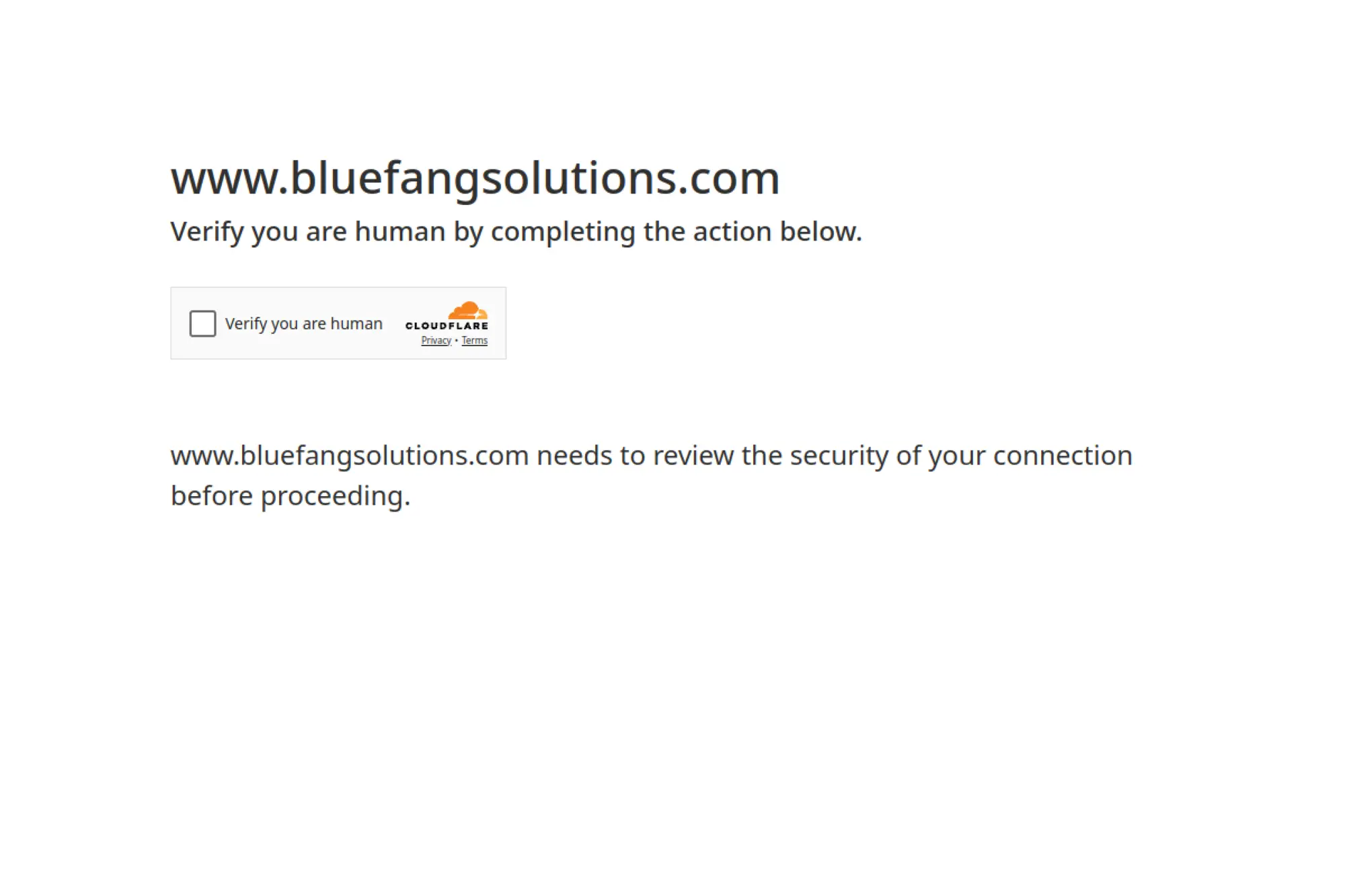 28. Blue Fang Solutions