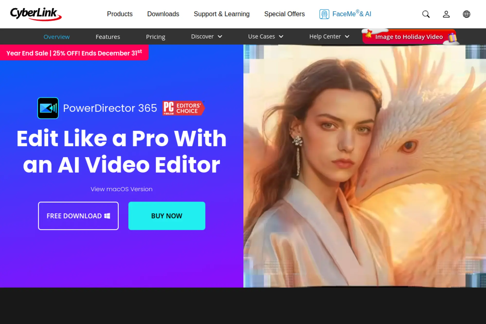 13. CyberLink PowerDirector