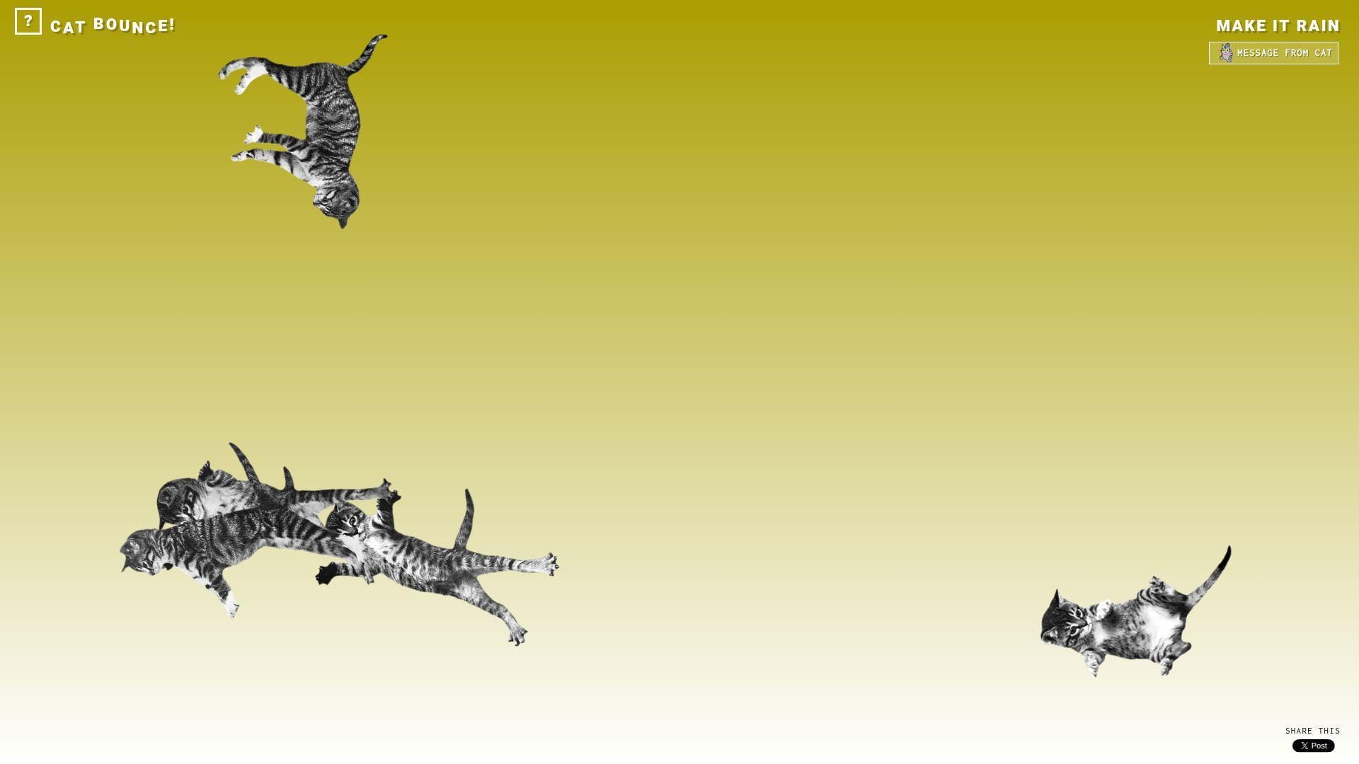 9. Cat Bounce