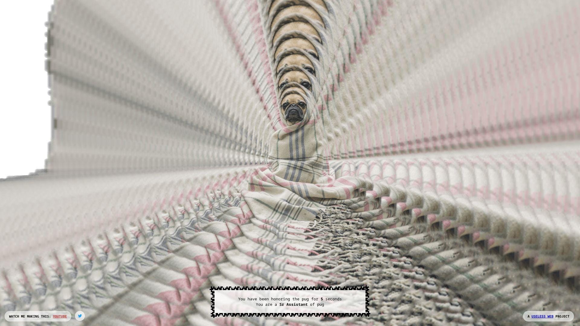 17. The Pug In A Rug