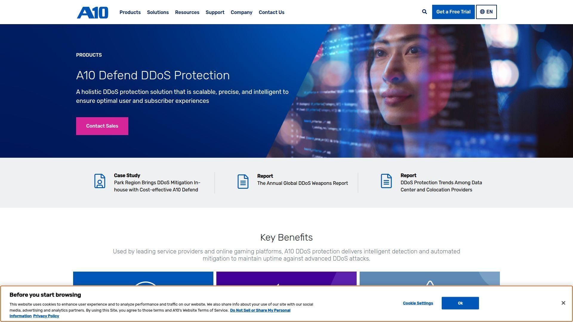 10. A10 Defend DDoS Protection