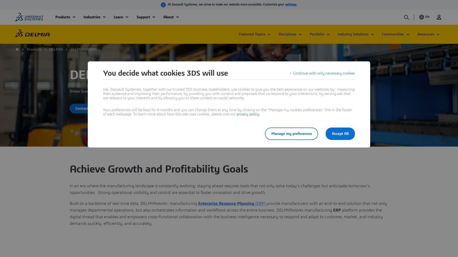 17. DELMIAworks
