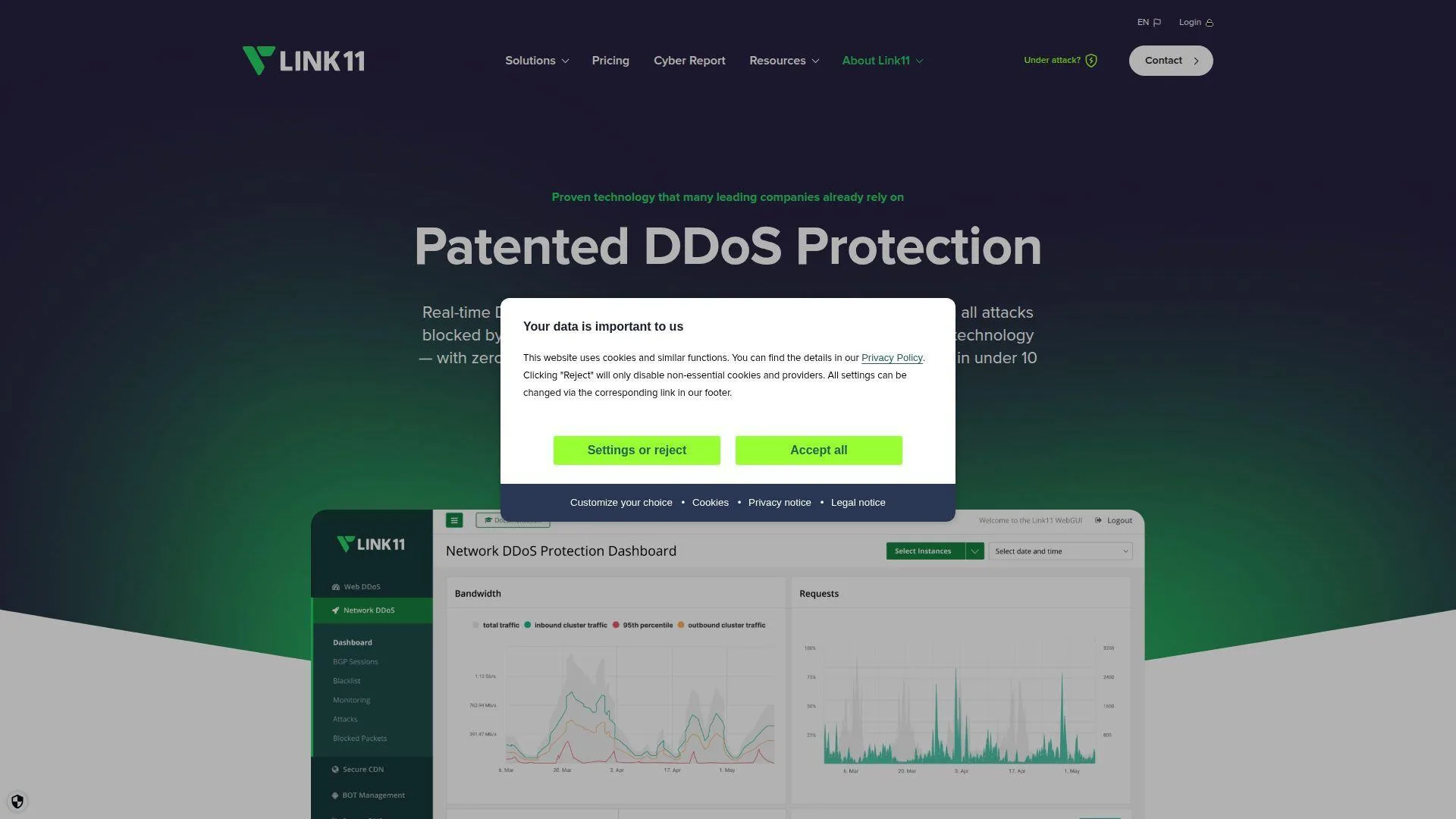 19. Link11 DDoS Protection