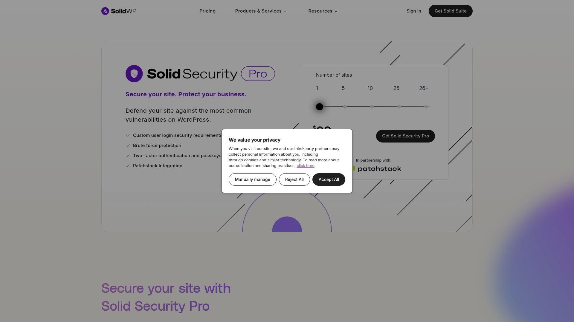 11. Solid Security Pro