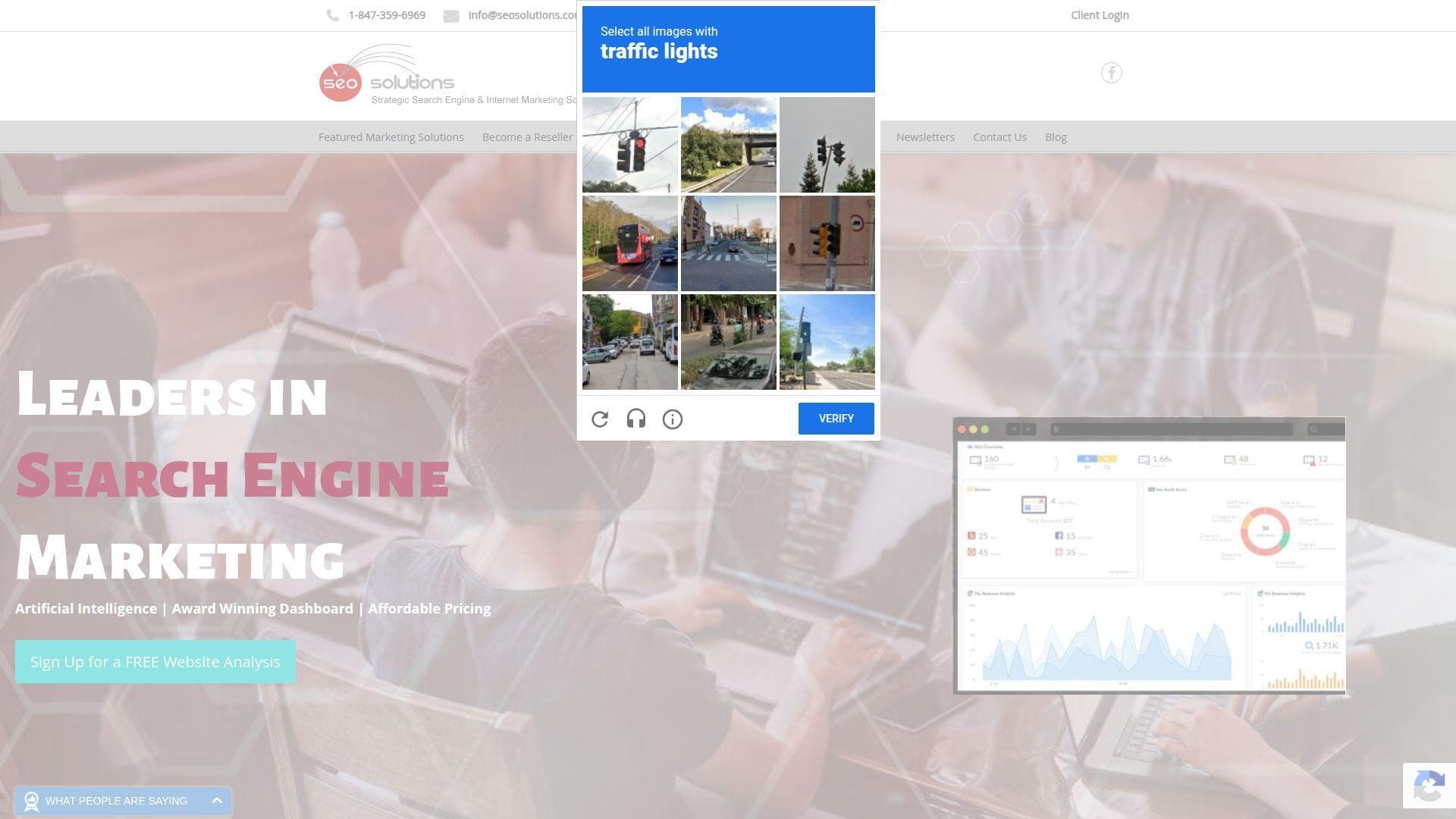 2. SEO Solutions