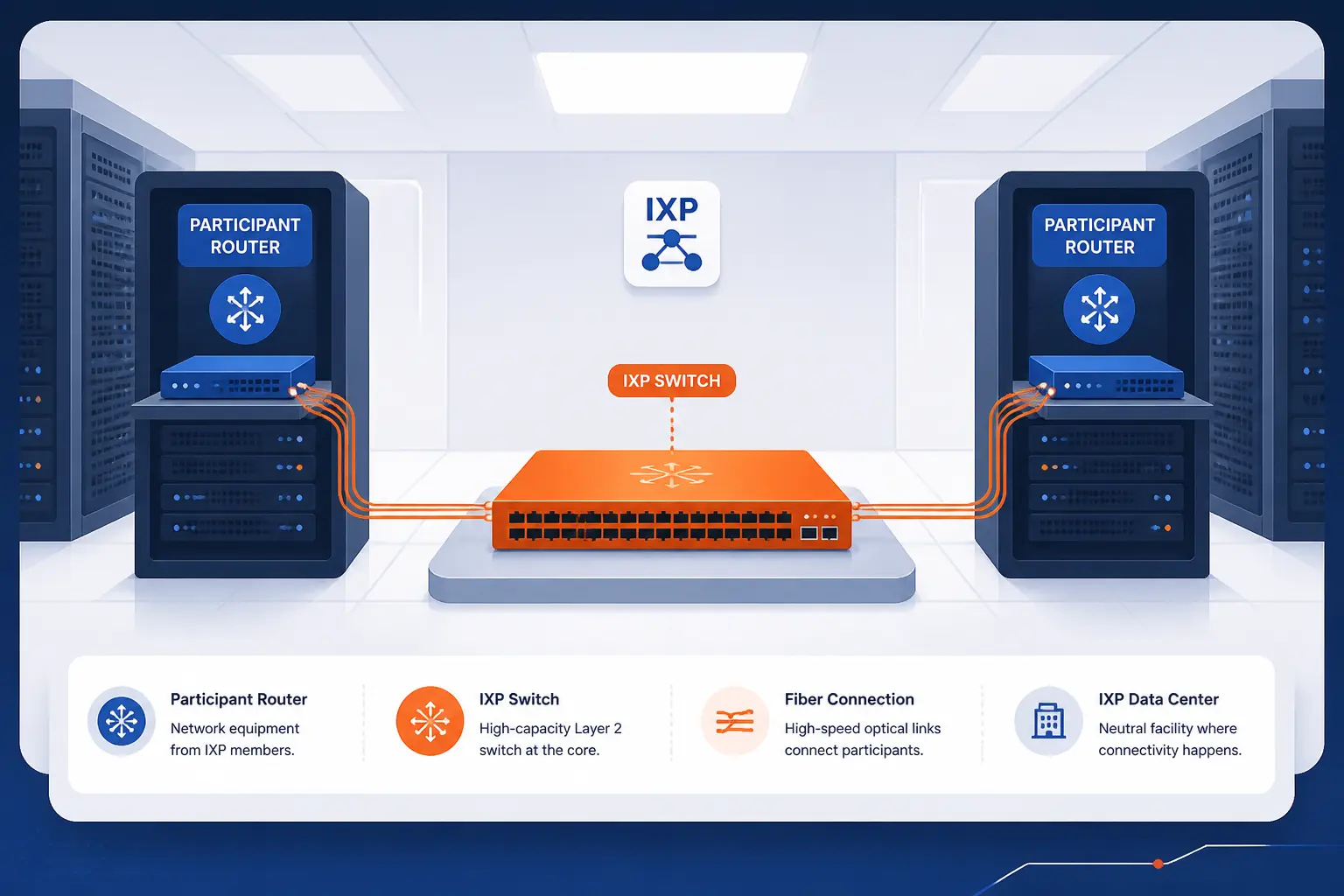 The Physical Setup Behind an IXP