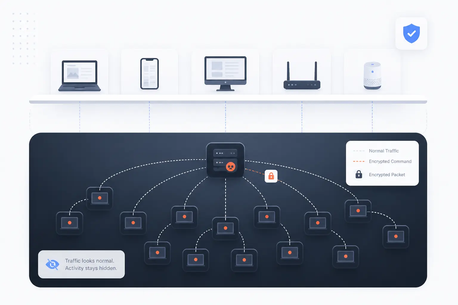 Why Botnets Are Hard to Detect and Shut Down